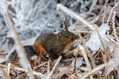 Steam新游周报：《四海兄弟：故乡》《战地6》测试版上线