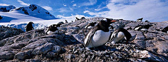 《异度神剑3》官方发布BGM 《Chain Attack》试听